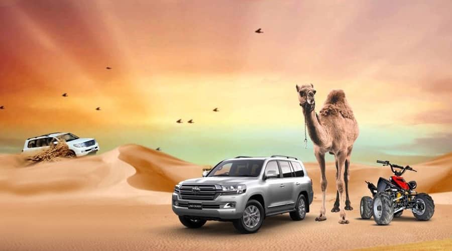 Experience Desert Safari – The Must to Explore Attraction in Dubai