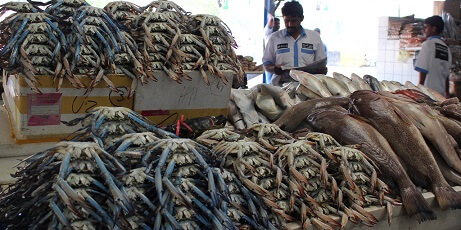 Fish Market Dubai