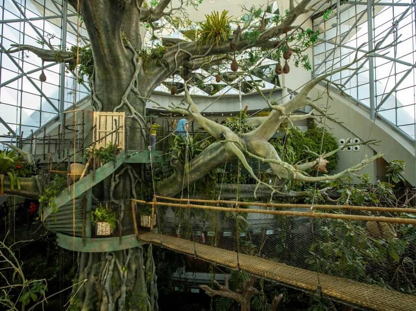 Green Planet Dubai - An Amazing Indoor Rainforest in UAE
