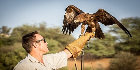 Kalba Bird of Prey Centre in Sharjah
