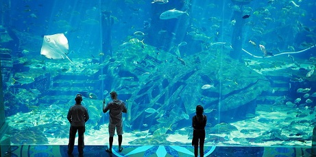 Lost Chamber Aquarium Dubai