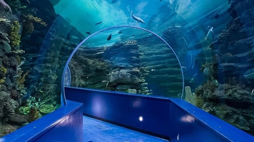 Sharjah Aquarium